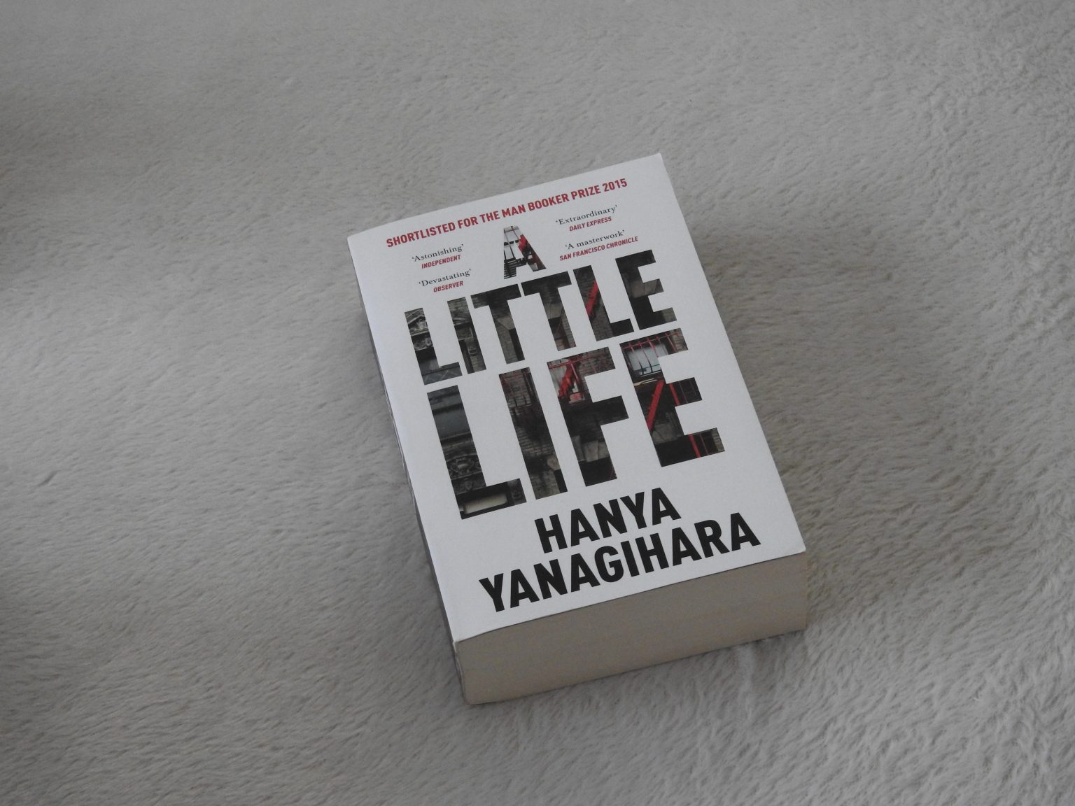 A Little Life – Hanya Yanagihara – Melissa Justine